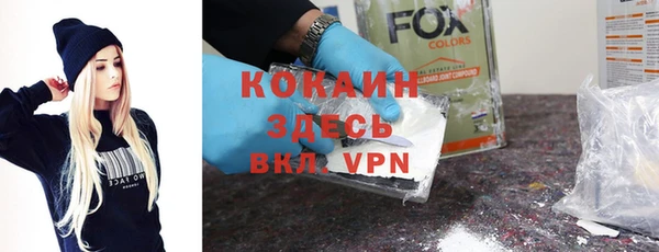 хмурый Алзамай