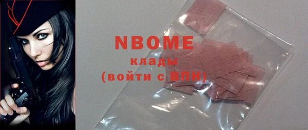 хмурый Алзамай