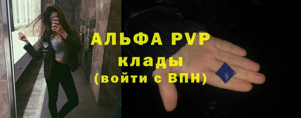 хмурый Алзамай