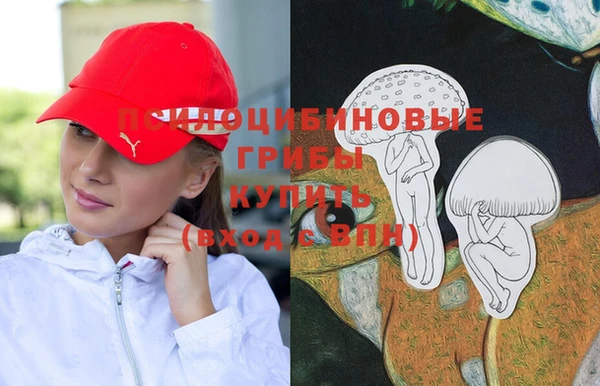 прущая мука Алексин