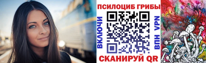 omg ТОР  Ардатов  Псилоцибиновые грибы MAGIC MUSHROOMS  купить наркоту 